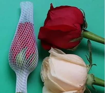 factory outlet cheap plastic durable tubular transparent flowers mesh bag bud protection sleeves packing rose net