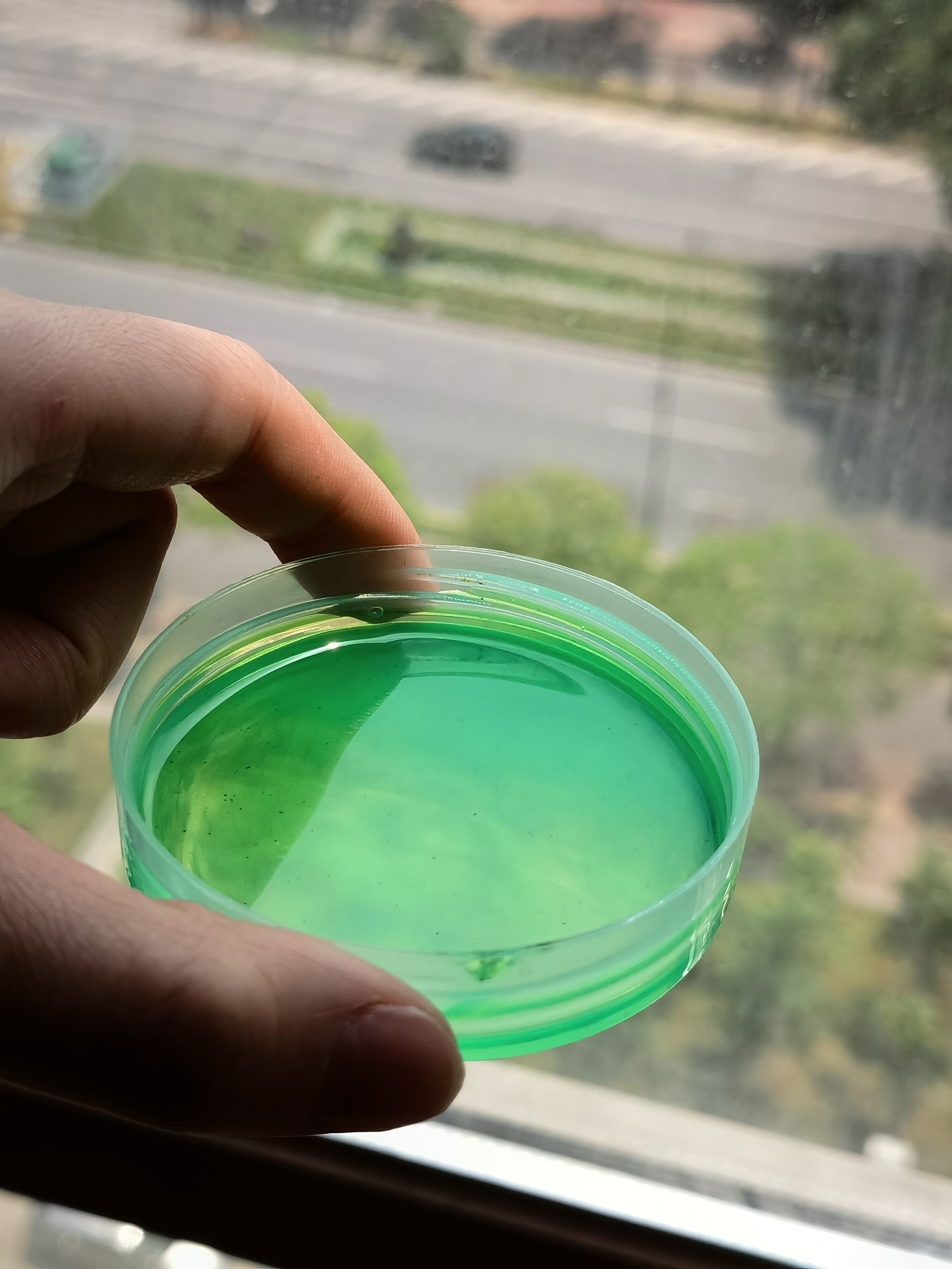 Custom oil soluble fluorescent green dye solvent dye for diesel lubricating oil dyeing