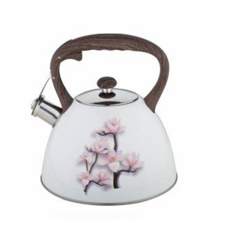 High Repurchase Rate High Quality Unique Design Whistling Kettle Stainless Steel Water Boiling Kettle for Tea