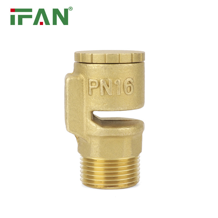 IFAN Vacuum Relief Brass Male Threaded Anti-Vacuum Valve