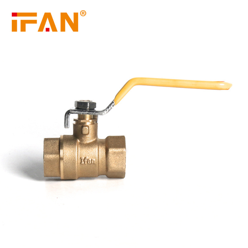 IFAN Long Handle NPT 1/4