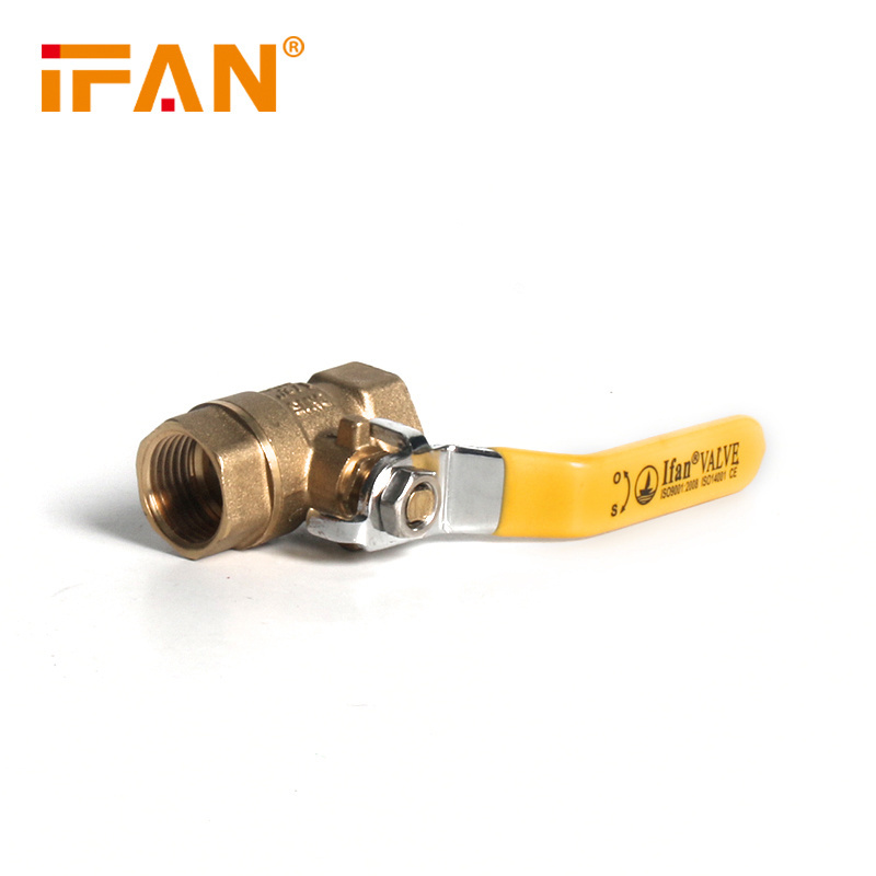 IFAN Long Handle NPT 1/4