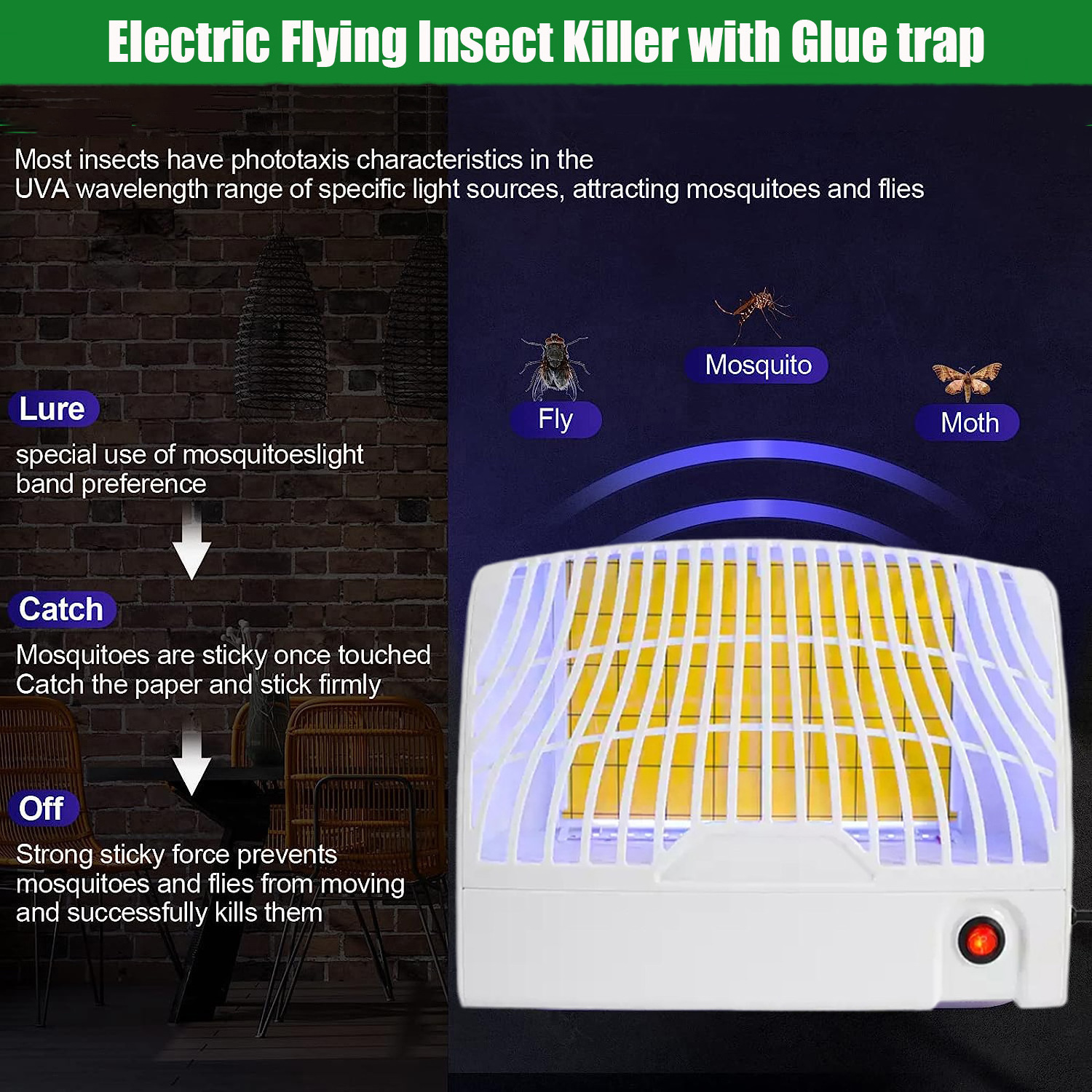 Indoor Electronic Fruit Fly Trap with 3 Pcs Sticky Paper UV Night Light Gnat Killer Mosquito Flying Trap Fly Catcher