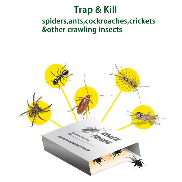 Indoor Home Sticky Roach House Glue Traps Pest Ants Spiders Cockroach Control Killer Cockroach Glue Trap