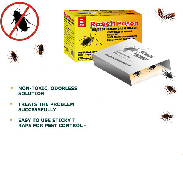 Indoor Home Sticky Roach House Glue Traps Pest Ants Spiders Cockroach Control Killer Cockroach Glue Trap