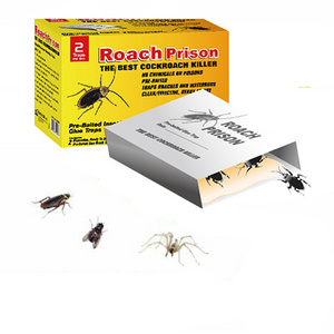 Indoor Home Sticky Roach House Glue Traps Pest Ants Spiders Cockroach Control Killer Cockroach Glue Trap