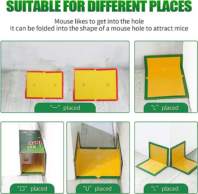 House Indoor Sticky Pad Boards Strongly Adhesive Mouse Trap Rat Mice Glue Trap