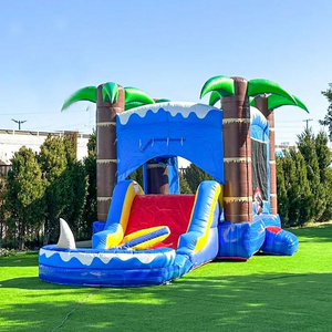 2023 New Arrival Adults And Kids Inflatable Water Slide With Big Swimming Pool For Rental Or Sale Giant Inflatable Water Slide