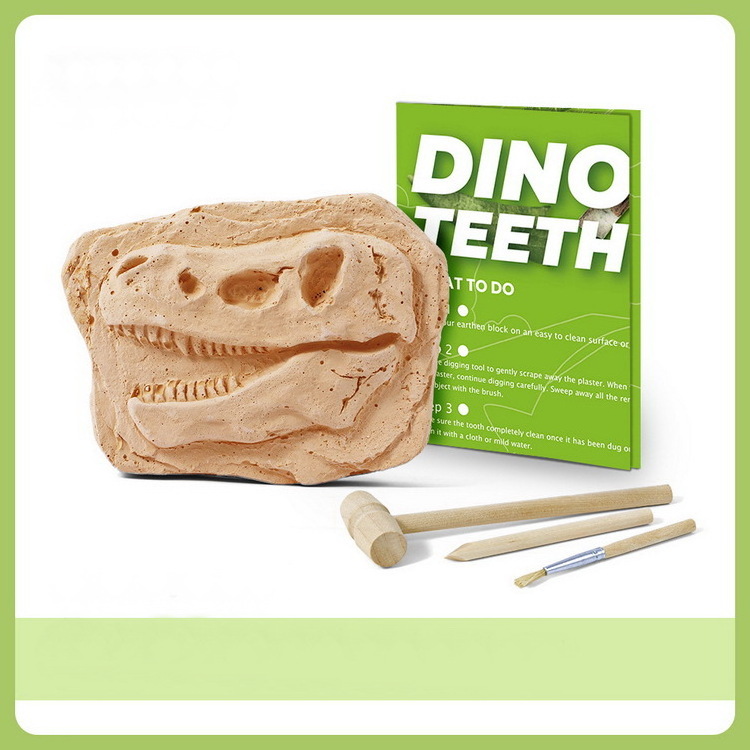 Educational Children's Gift Jurassic Simulated Dinosaur Tooth Fossil Archaeological Excavation Toy