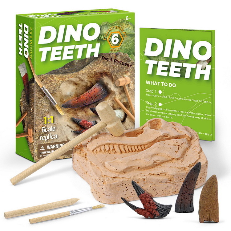 Educational Children's Gift Jurassic Simulated Dinosaur Tooth Fossil Archaeological Excavation Toy