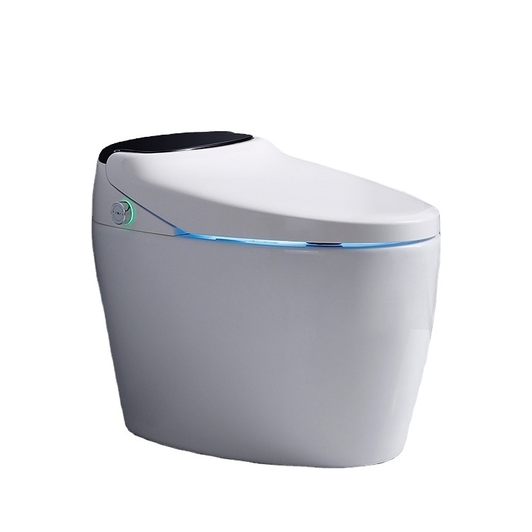 Electric Smart Toilet with Warm Adjustable Self Clean Nozzles And Slow Close Lid Bathroom Accessories Easy Install Smart Toilet