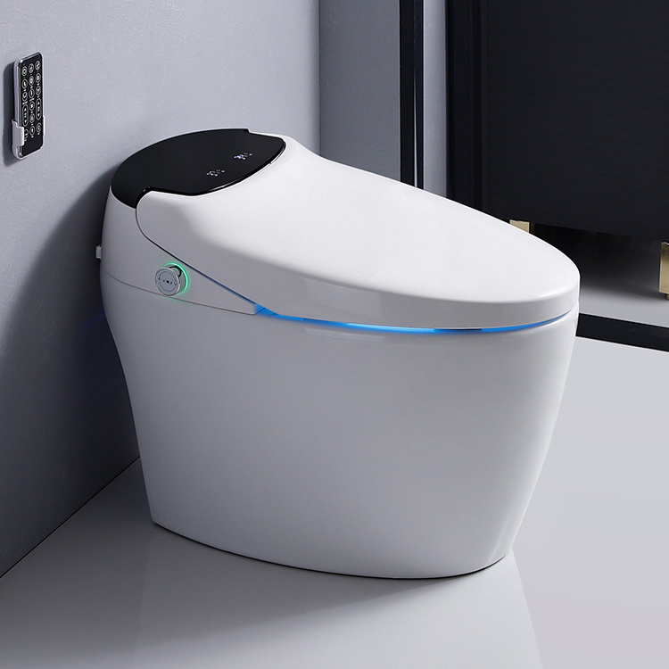 Electric Smart Toilet with Warm Adjustable Self Clean Nozzles And Slow Close Lid Bathroom Accessories Easy Install Smart Toilet