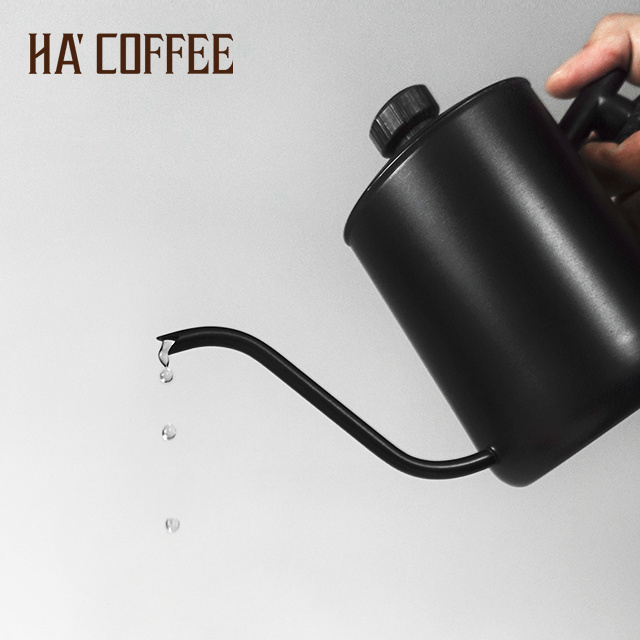 Hot Sale Stainless Steel Swallow Shape Spout Coffee Drip Kettle Portable Pour Over  Coffee Pot Pour Over Coffee Kettle