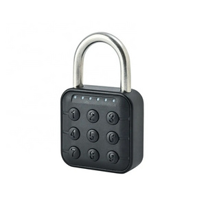 promotional oem competitive price password padlock 6 digit code padlock CR2032 button cell combination padlock 4 digit