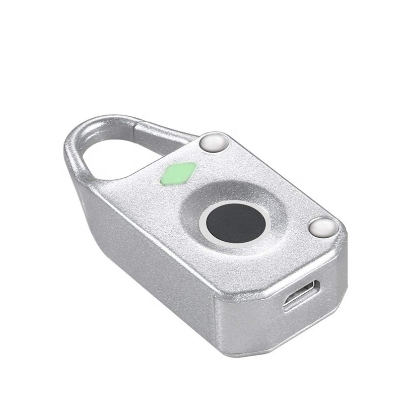 Smart Fingerprint Padlock Anti-Theft Mini Lock for Door Luggage Case