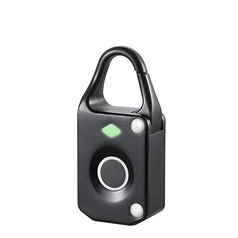 Smart Fingerprint Padlock Anti-Theft Mini Lock for Door Luggage Case