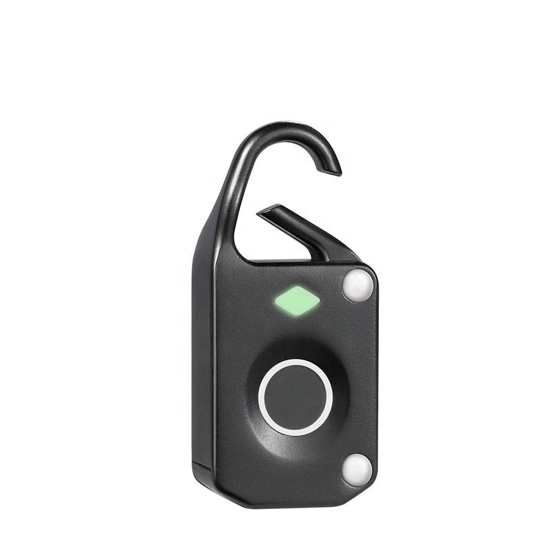 Smart Fingerprint Padlock Anti-Theft Mini Lock for Door Luggage Case