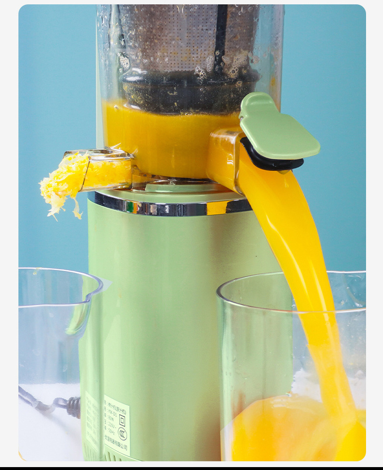 Juicer Maker Best Price Cold Press Juicer Whole Slow Masticating Magic Mini Portable Juicer Machine Home