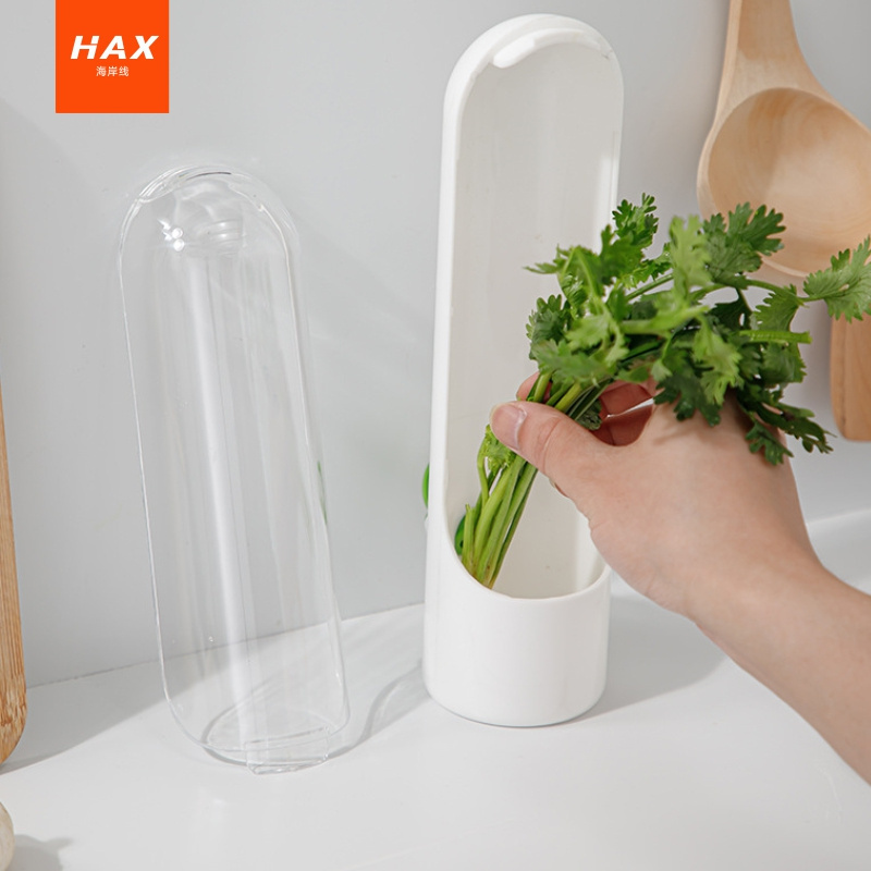 2023 New product Herb Savor Storage Container Freshness Herb Keeper Transparent Refrigerator Herb Saver