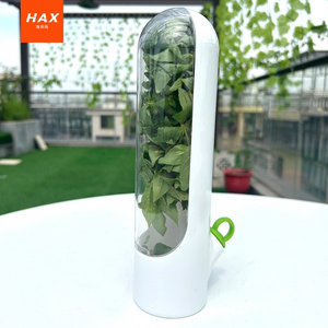 2023 New product Herb Savor Storage Container Freshness Herb Keeper Transparent Refrigerator Herb Saver