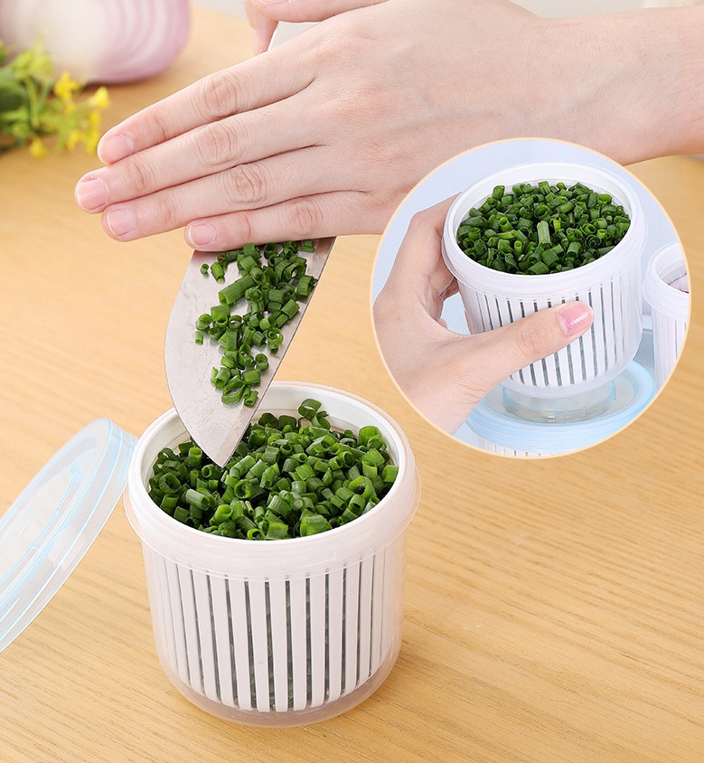 Portable Double-Layer Fresh-Keeping Box Refrigerator Chopped Green Onion Fresh-Keeping Storage Household Sealed Drain Container