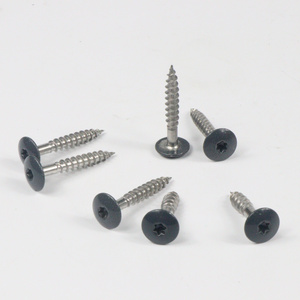 Stainless steel SS304 SS316 Color Painted Head Screw Type 17 Torx Decking Screw