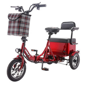 Family 3 Wheel Electric Tricycle For Elderly Folding 20-Inch Electric Bicycle For Men 350W 48V 2 Seats Electric Trike