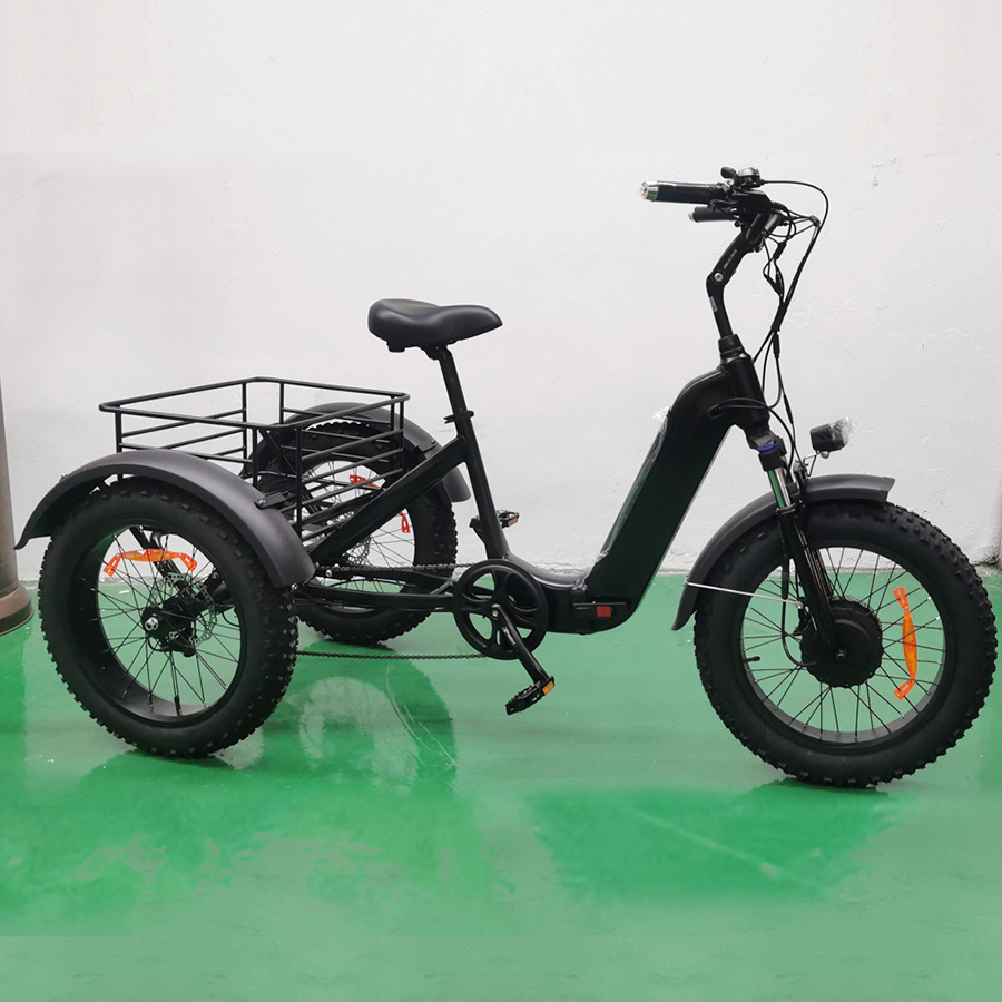 Joyebikes new Popular 3 Wheel Cargo Bike 500w 48v motor fat tyre cart electrical 3 seater high speed  electric tricycles