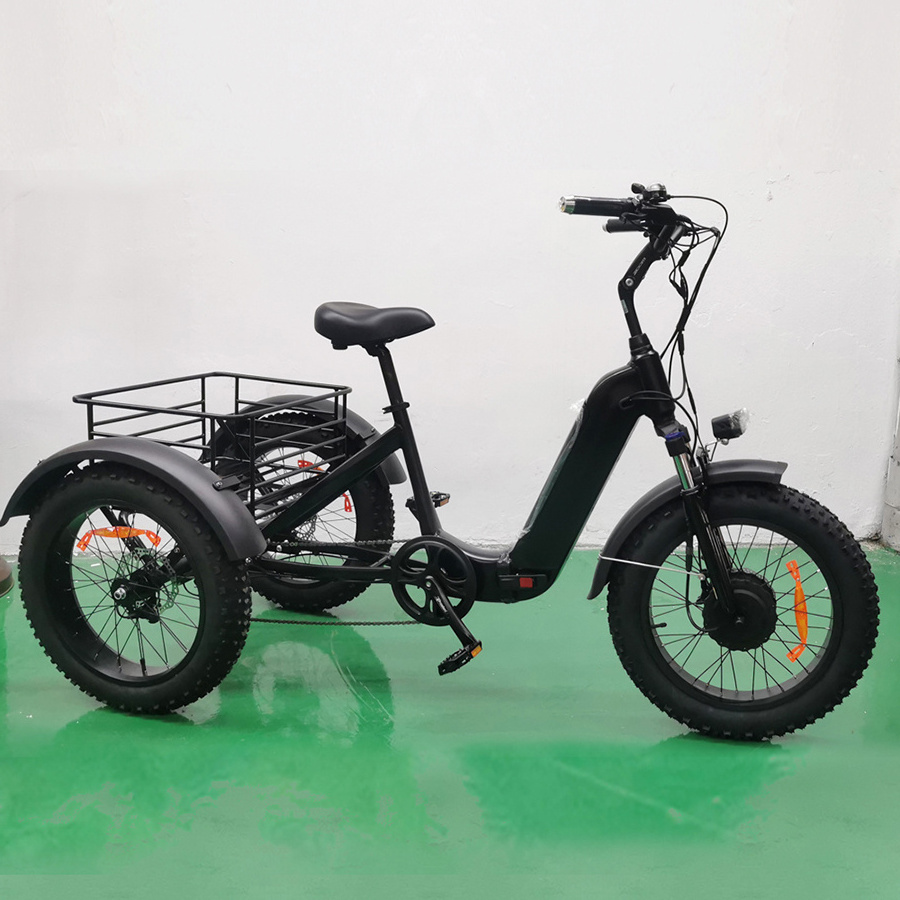 Joyebikes 3 wheel cargo electric trike /fat tyre bicycle ebike/Power Tricycle