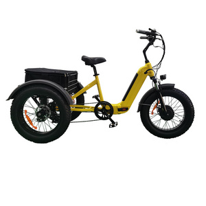 Joyebikes new Popular 3 Wheel Cargo Bike 500w 48v motor fat tyre cart electrical 3 seater high speed  electric tricycles