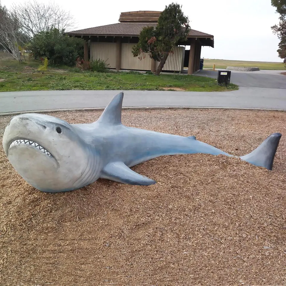 Factory custom fiberglass shark statue life size for aquarium mall water play facilities for sale