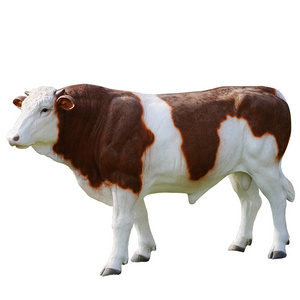 Handmade Artificial Life Size Large Fiberglass Resin Crafts Cow Statue Sculpture For Park Decoration