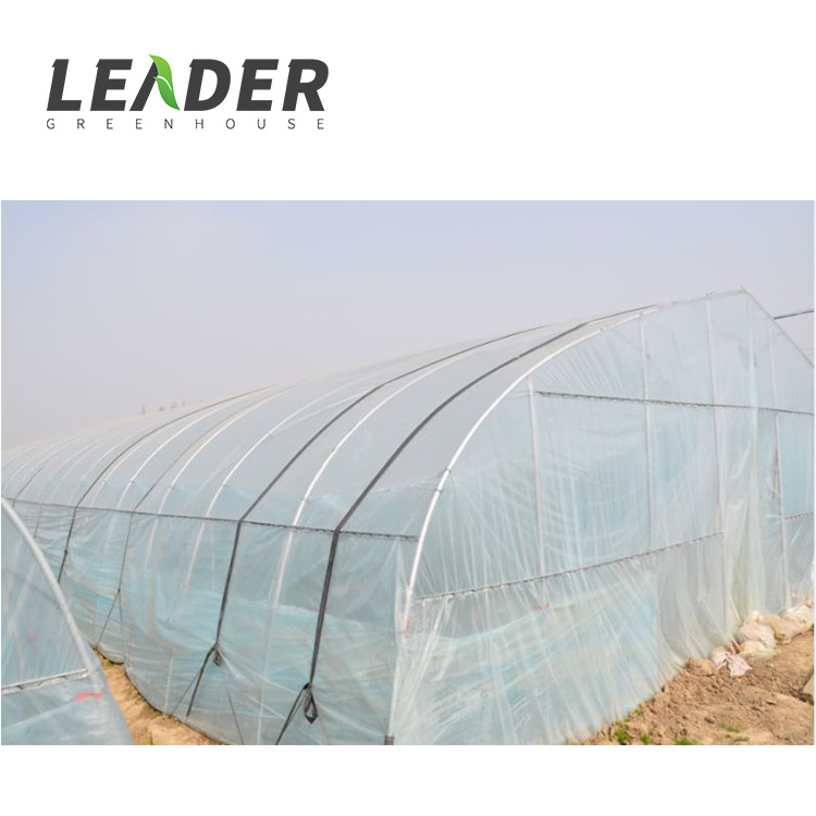 Single Span High Quality Retractable Roof Steel Frame High Tunnel Plastic Cover Material Vegetable/Flower Planting Greenhouse