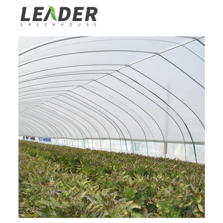 Single Span High Quality Retractable Roof Steel Frame High Tunnel Plastic Cover Material Vegetable/Flower Planting Greenhouse