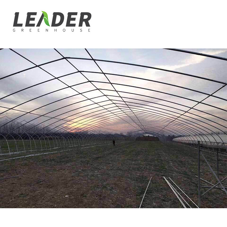 single span galvanized steel frame greenhouse kit agriculture used for sale