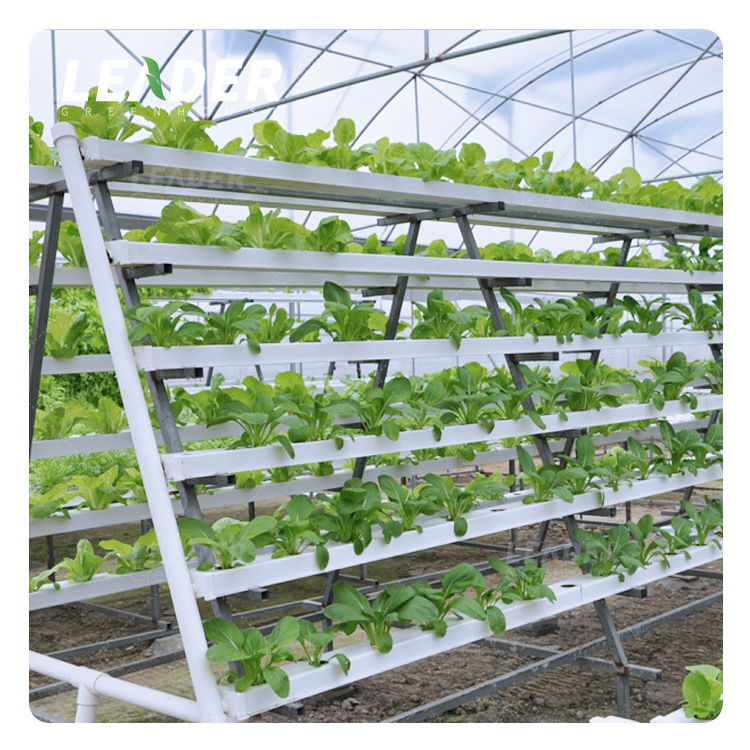 Commercial UPVC Food Graded Material Hydroponic Systems Grow Box  Vertical Nft Channel With End Cap And Connector