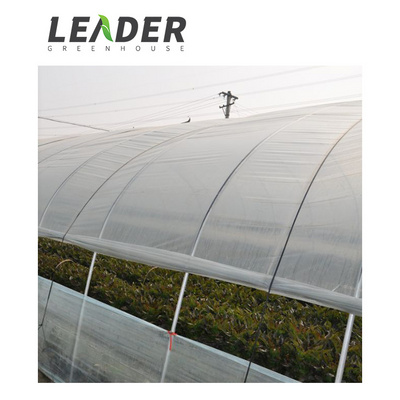 Single Span High Quality Retractable Roof Steel Frame High Tunnel Plastic Cover Material Vegetable/Flower Planting Greenhouse