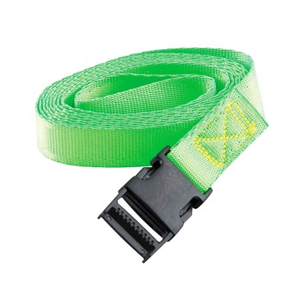 Hot Sell 2M*25mm Polyester Fibre Cambuckle Tie Down Strap with Plastic Cambuckle