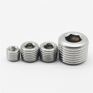 Stainless Steel 304 316 Hex Plug DIN 906 Hexagon Socket Locking Screws Thread Pipe Plugs