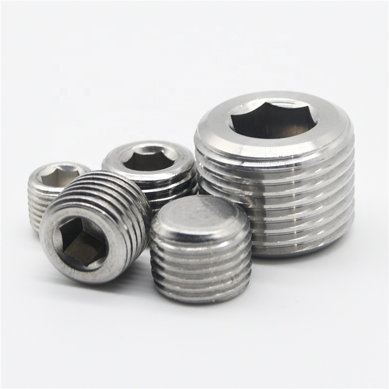 304 316  stainless steel  NPT Male Hollow Hex Plug fittings