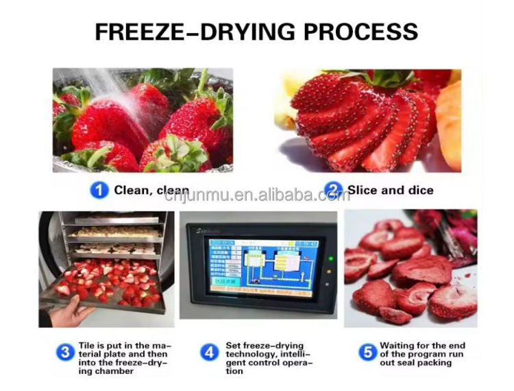 Commercial freeze dryer for sale freeze dryer machine for food vacuum freeze dryer lyophilizer machine