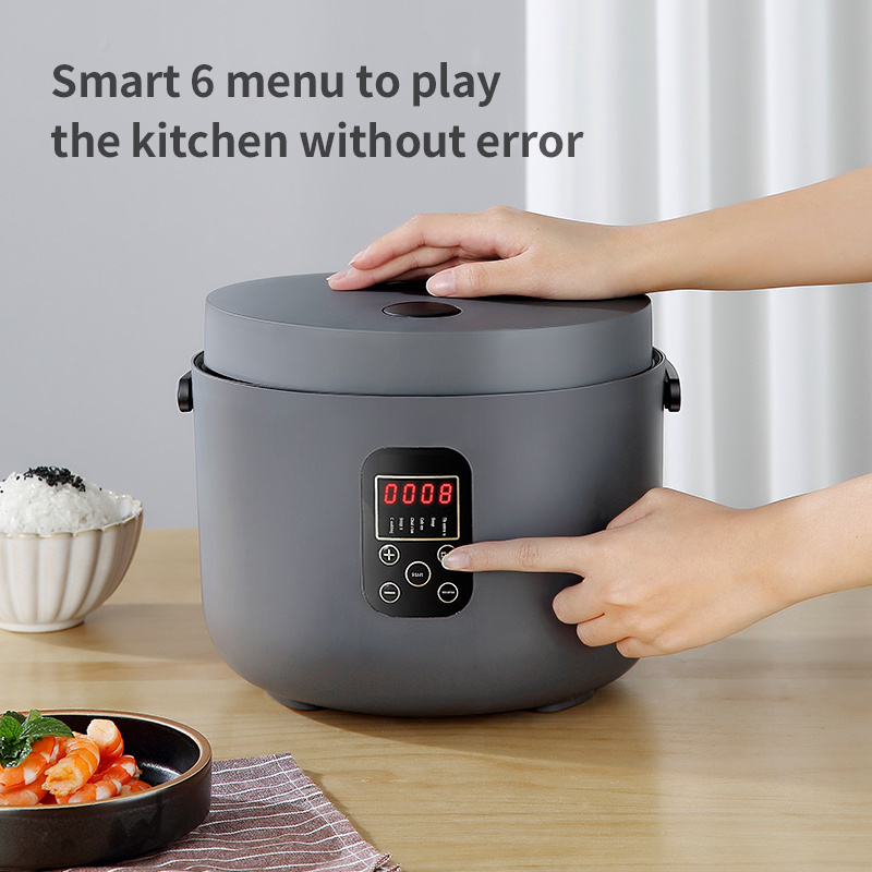 Factory Wholesale Oem Multi Function Rice Cooker 3L Cuiseur De Riz Small Smart Electric Rice Cooker