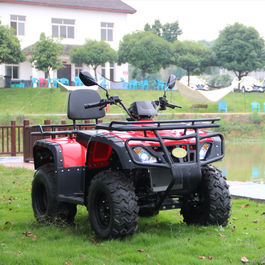 China Import Amphibious All Terrain Vehicles Moto 300Cc Mountain Motorcycle Beach Buggy Atv 2X2