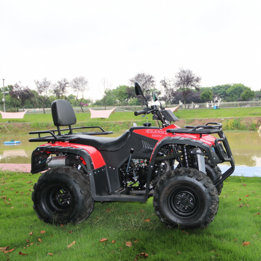 China Import Amphibious All Terrain Vehicles Moto 300Cc Mountain Motorcycle Beach Buggy Atv 2X2