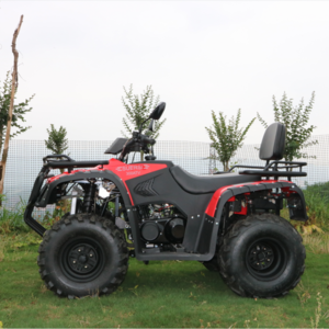 China Import Amphibious All Terrain Vehicles Moto 300Cc Mountain Motorcycle Beach Buggy Atv 2X2