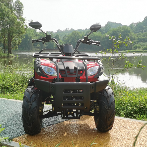 Wholesale Utility Amphibious Vehicles 200Cc 4 Wheel Drive Beach Bike Quad Gasoline Atv