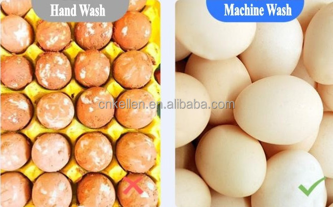 Automatic Dirty Duck egg cleaning machine Chicken Egg Washer Duck quail Egg Washing Machine