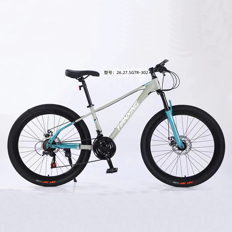 Wholesale Mountain Bike bicycle 26 inch 21 speed High-carbon steel Snow Beach Bike with fat tire for sales