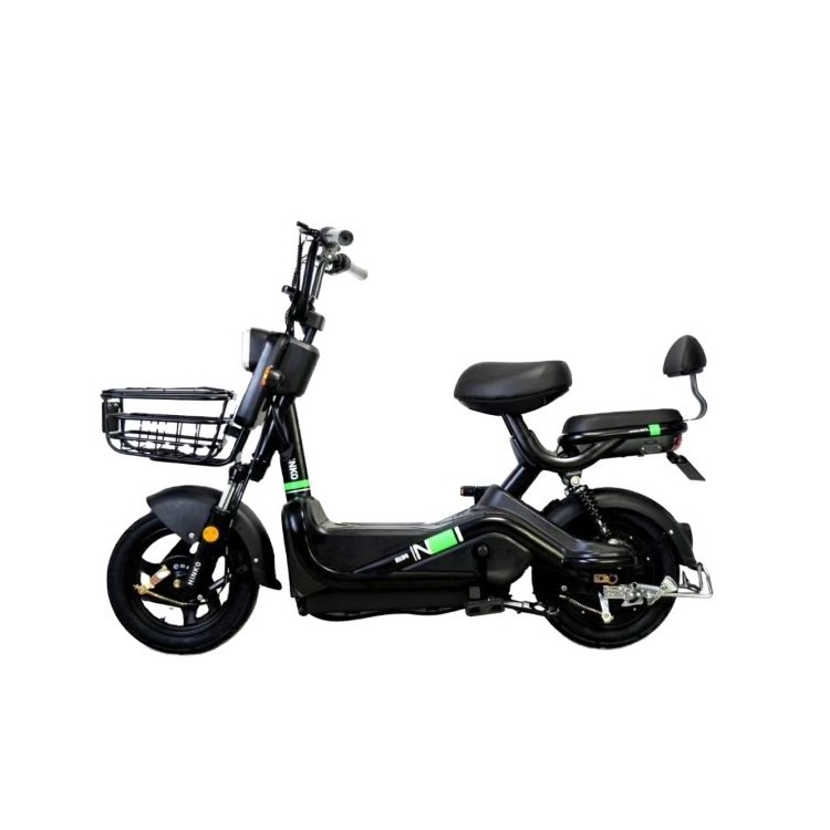 Adult Electric Bike 2 Wheels Ebike Electric Bicycle 48v Electric Pedal Moped