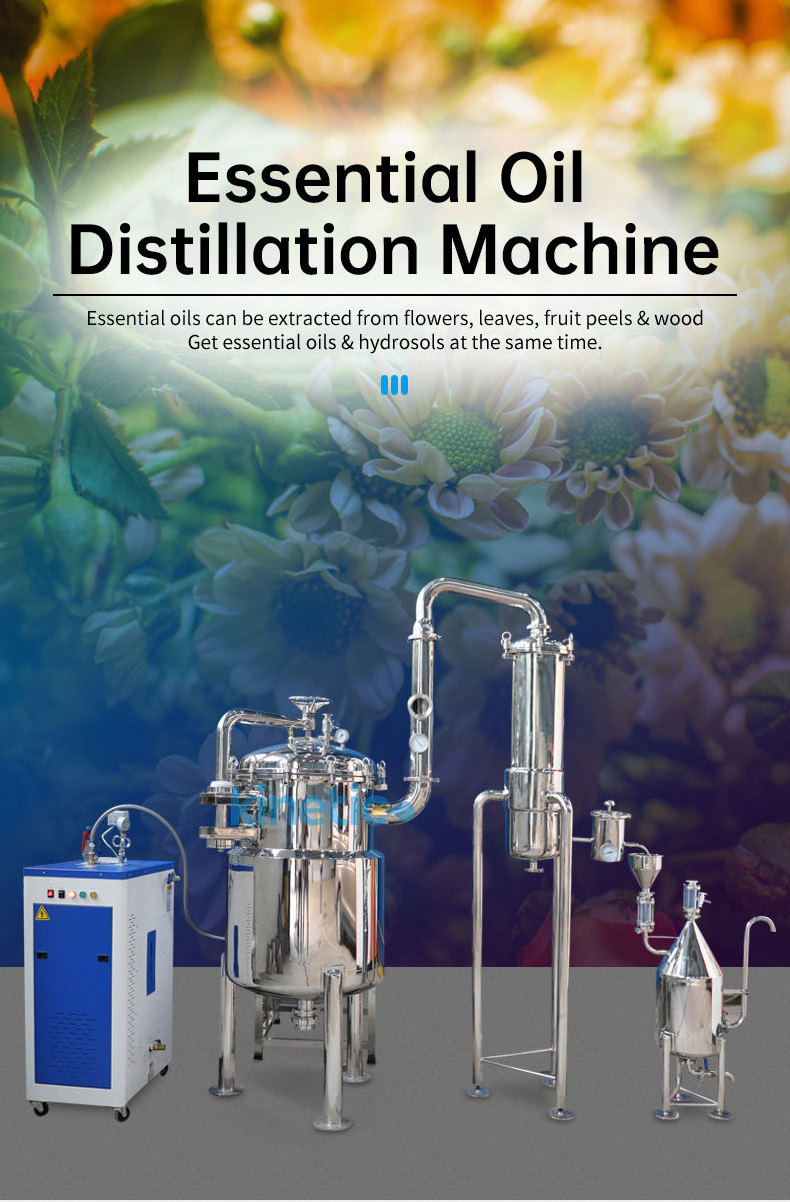 Oil water separator fractional distillation Eucalyptus leaves essential oil extraction equipment